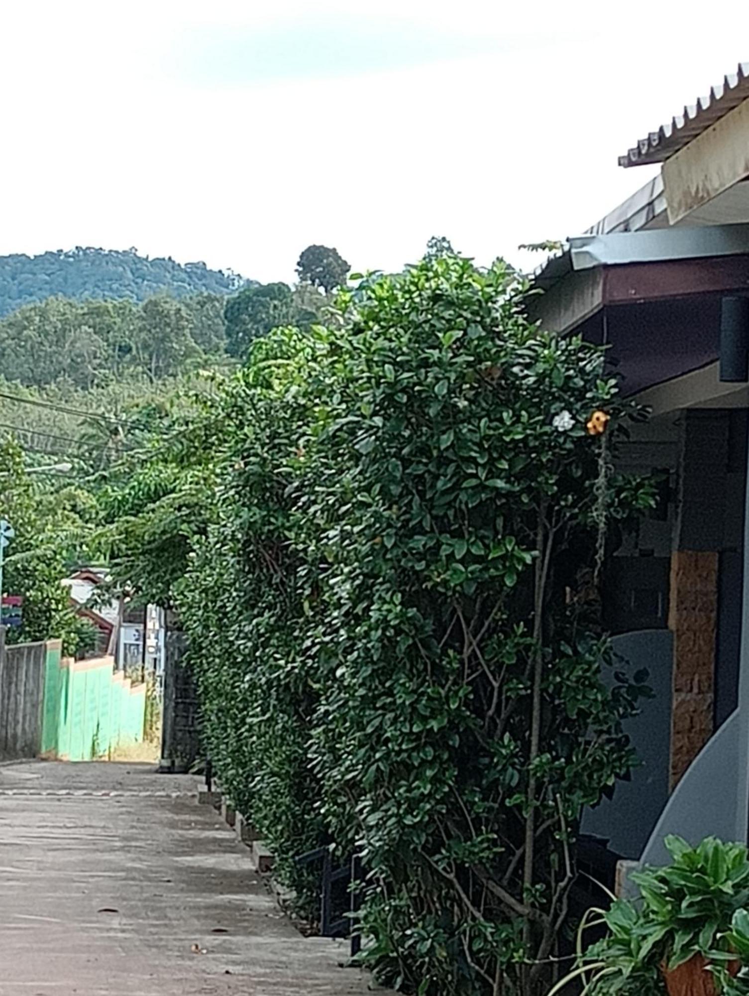 Lanta Beautiful Beach House Koh Lanta Bilik gambar